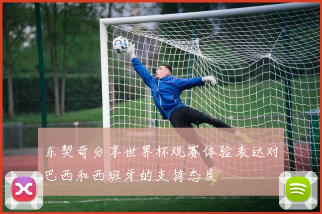 东契奇分享世界杯观赛体验表达对巴西和西班牙的支持态度