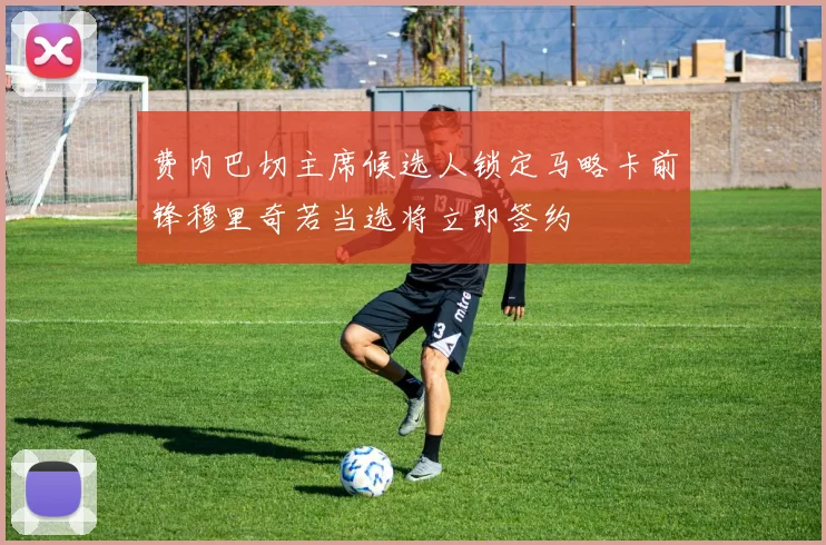 费内巴切主席候选人锁定马略卡前锋穆里奇若当选将立即签约