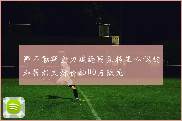 那不勒斯全力追逐阿莱格里心仪的加蒂尤文标价2500万欧元